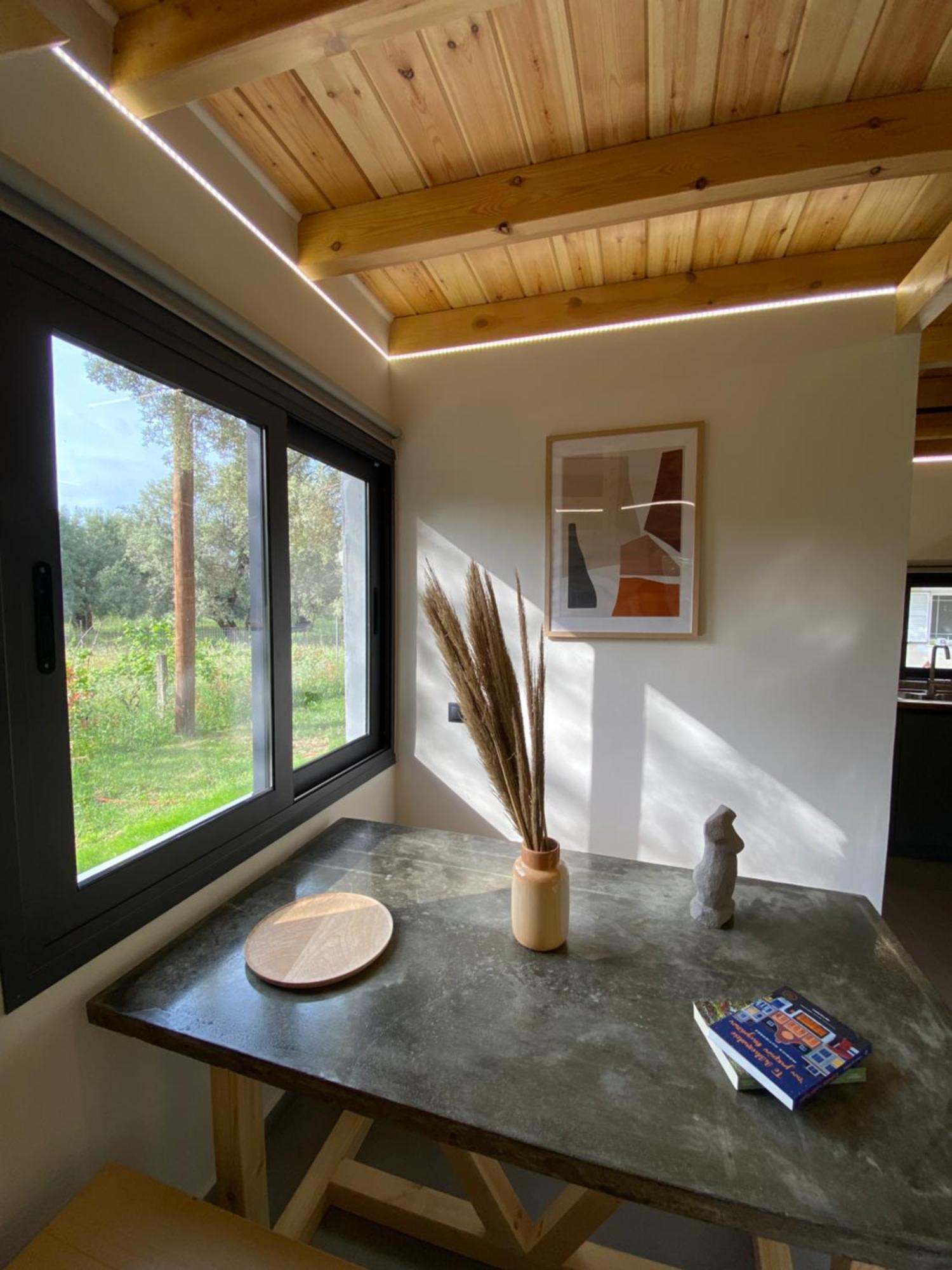 Olive Tree Apartments Lefkáda Pokój zdjęcie