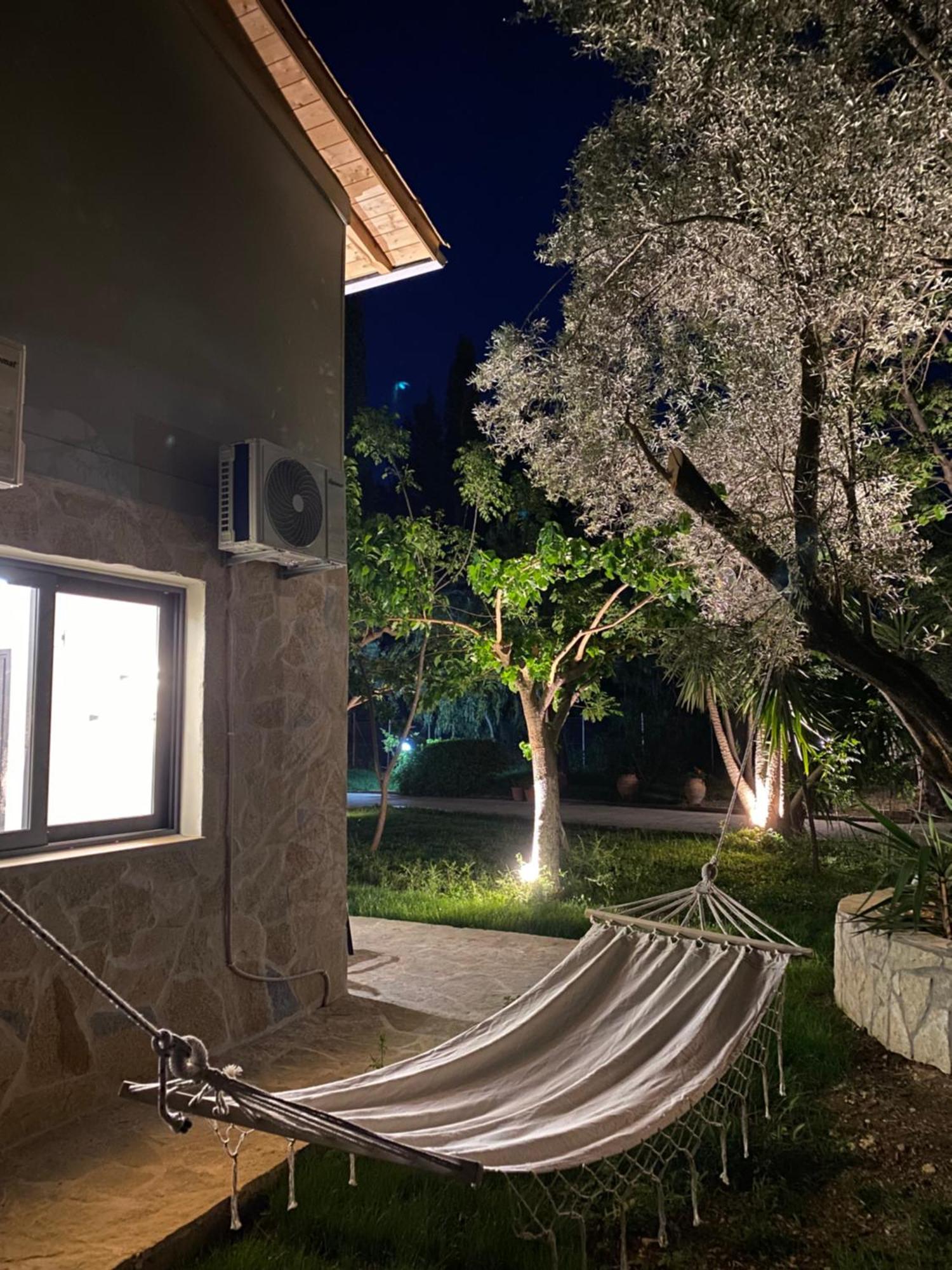 Olive Tree Apartments Lefkáda Pokój zdjęcie