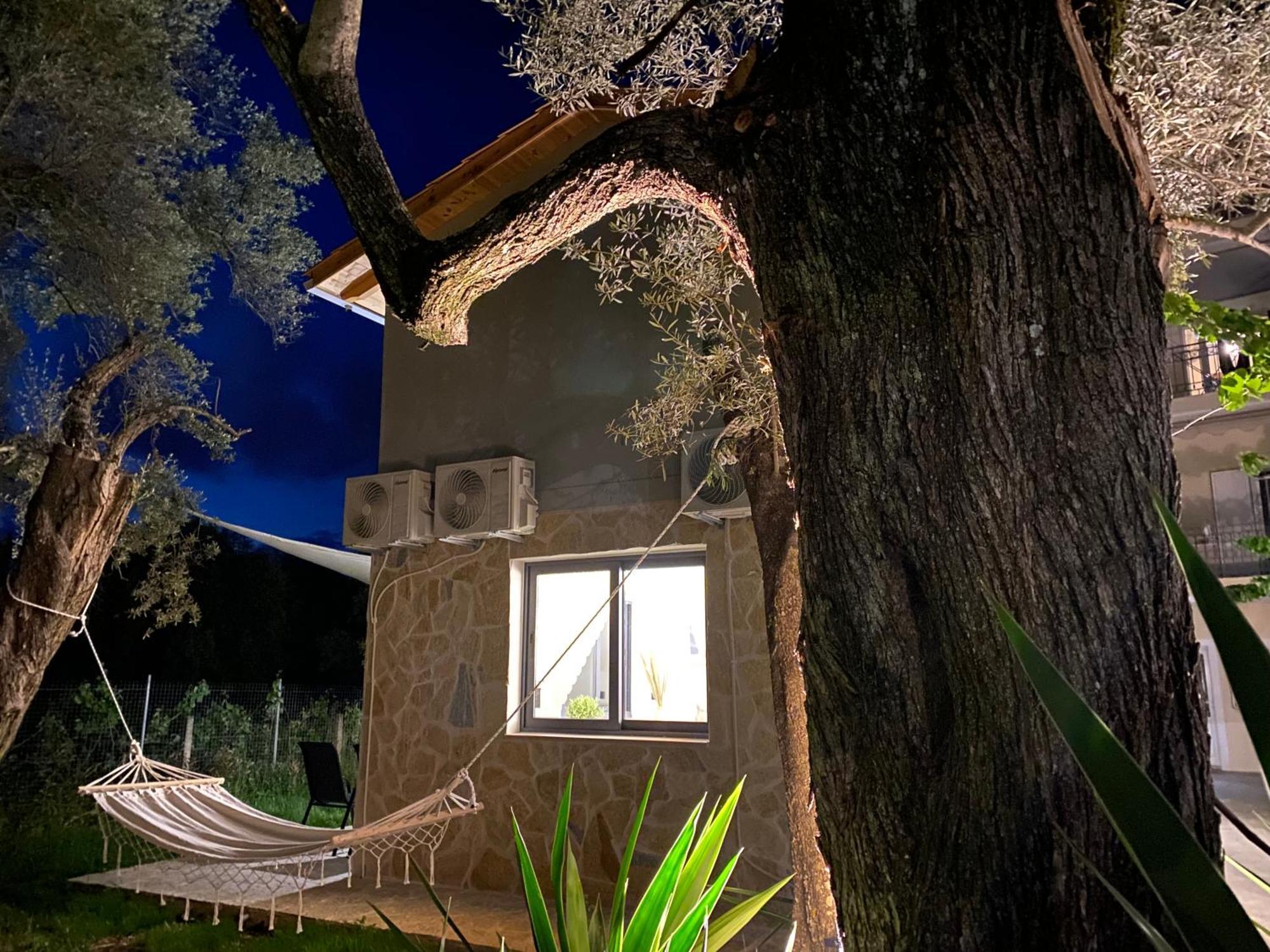 Olive Tree Apartments Lefkáda Pokój zdjęcie