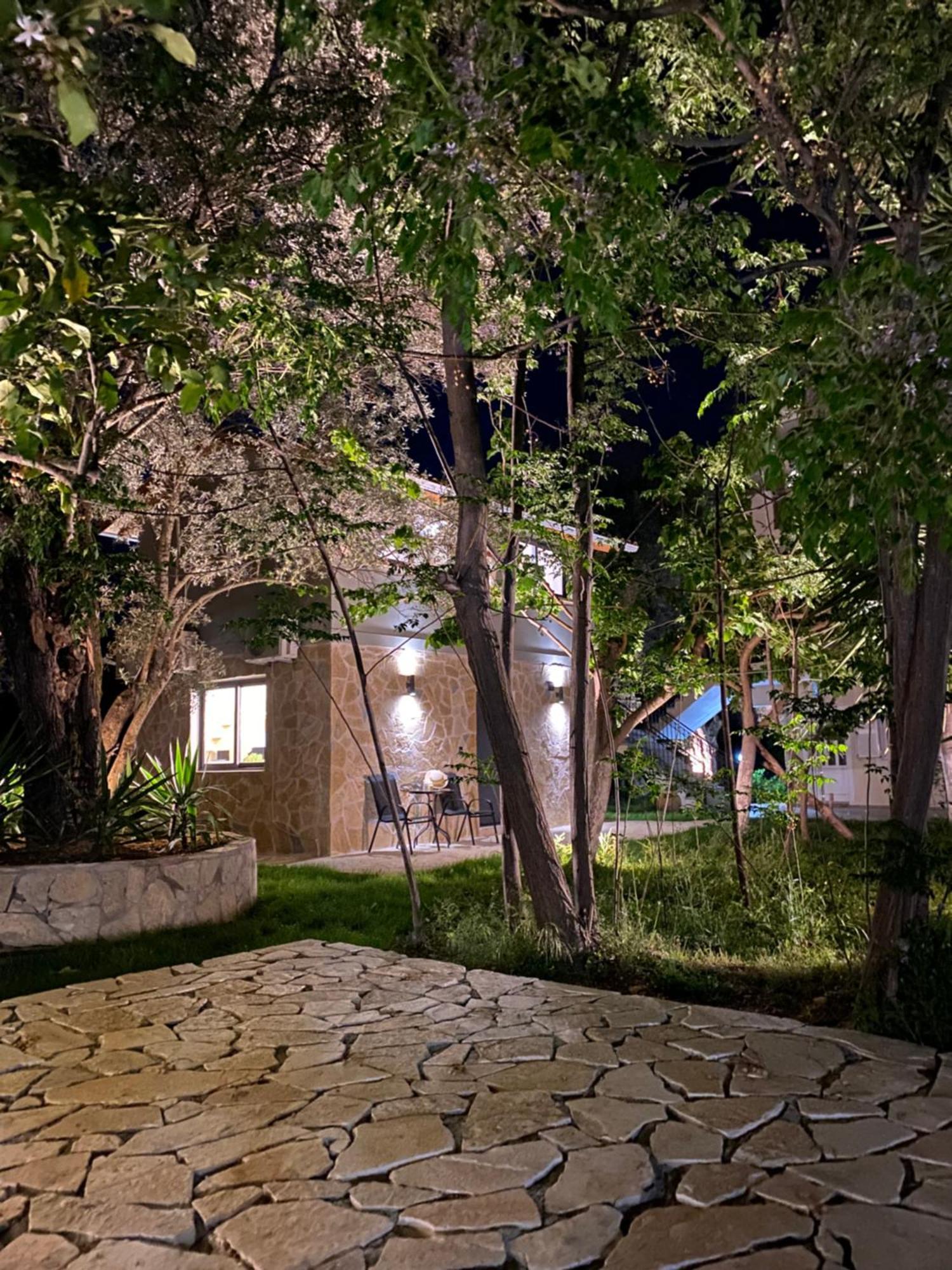 Olive Tree Apartments Lefkáda Pokój zdjęcie