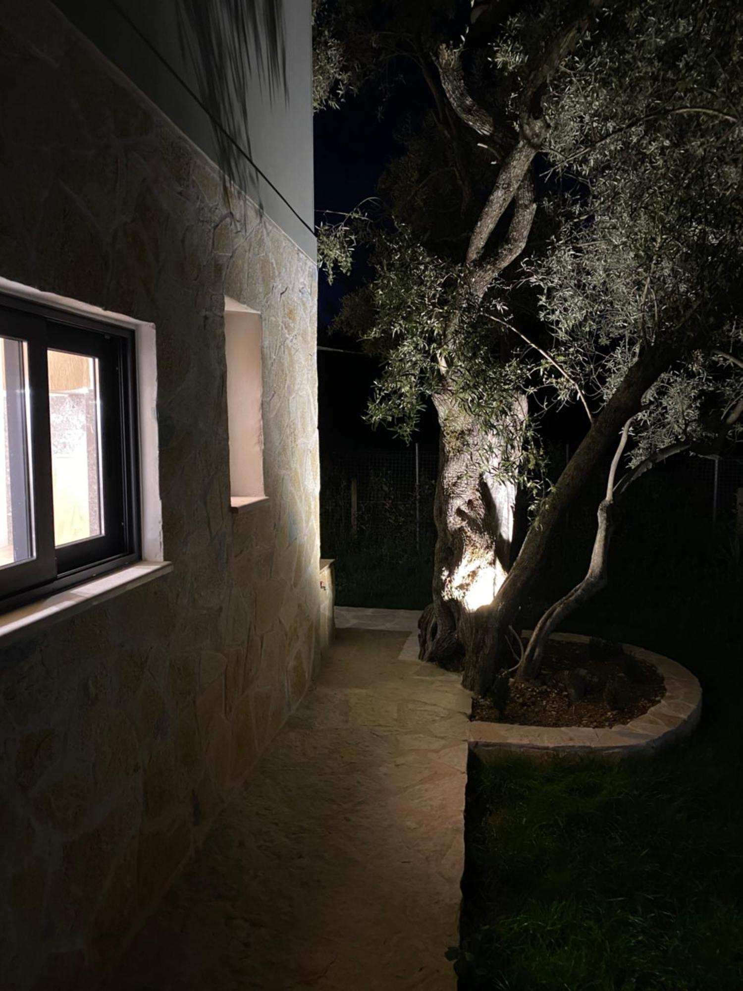 Olive Tree Apartments Lefkáda Zewnętrze zdjęcie